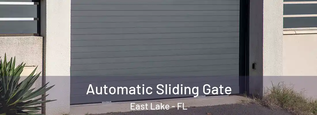 Automatic Sliding Gate East Lake - FL