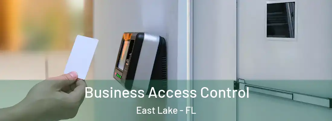 Business Access Control East Lake - FL