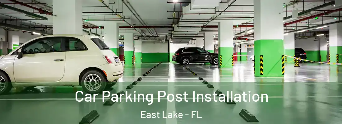  Car Parking Post Installation East Lake - FL