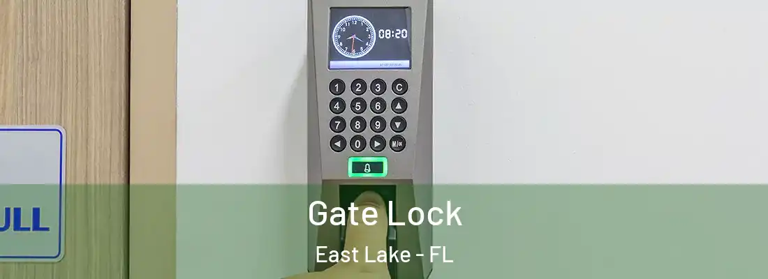  Gate Lock East Lake - FL