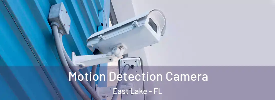 Motion Detection Camera East Lake - FL