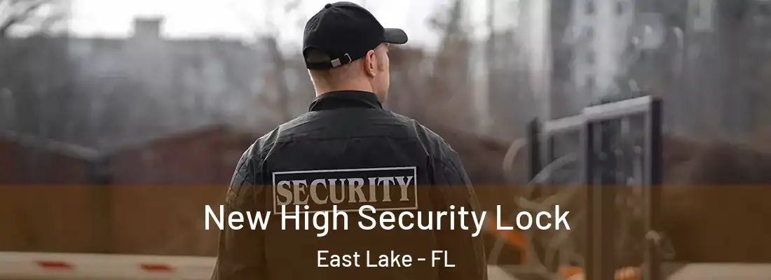New High Security Lock East Lake - FL