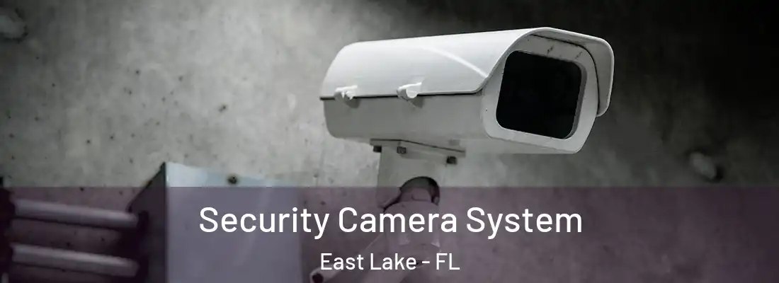  Security Camera System East Lake - FL